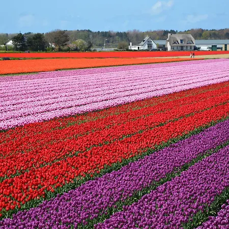 Bollenhuis Aan Zee - 2 Noordwijk